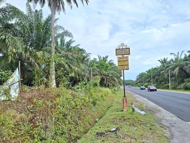 Agricultural-Land-for-sale-Mersing-Johor
