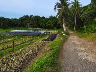 Sandakan Land, Mile 9, Jalan Hiew Ngee Fatt, Agriculture, Industrial