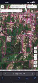 Sandakan Land, Mile 9, Jalan Hiew Ngee Fatt, Agriculture, Industrial