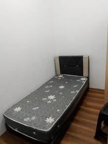 VERY NEAR CIQ SINGLE ROOM ( Stulang )
