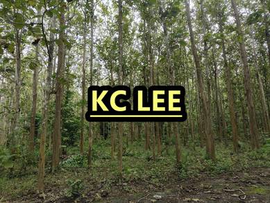 41.26 Acres Teakwood (柚木) | Main Road | Titi Tinggi | Perlis