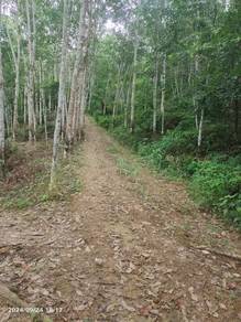 Agricultural-Land-for-sale-Jitra-Kedah