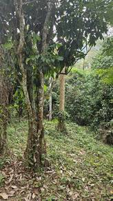 Dusun 4 Relung di Wang Perah