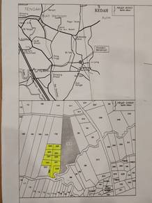 Agricultural-Land-for-rent-Ayer-Itam-Penang