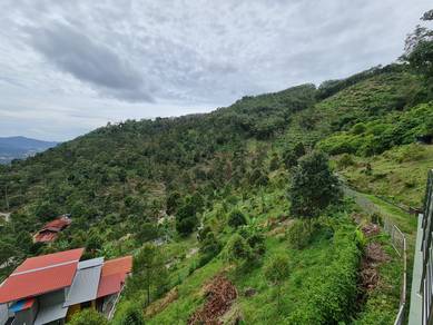 Agriculture land with 3 storey concrete bungalow Balik Pulau Ayer Itam