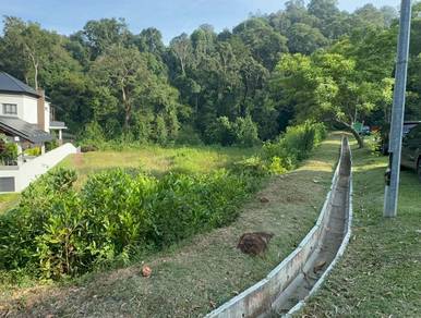 Agricultural-Land-for-sale-Melaka-Tengah-Melaka