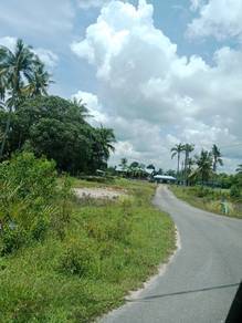 Pekan agriculture land Pekan Chinese owner Kuantan Pahang