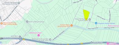 Freehold Non-Bumi Land (Lot 695) @ rm6.5 per sqft