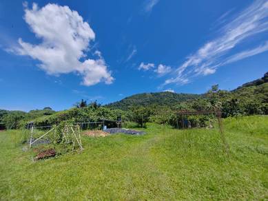 Land-for-sale-Balik-Pulau-Penang