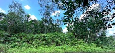 1.1 AcresFREEHOLD Residential Land Bandar Sungai Long,Taming Mutiara 3