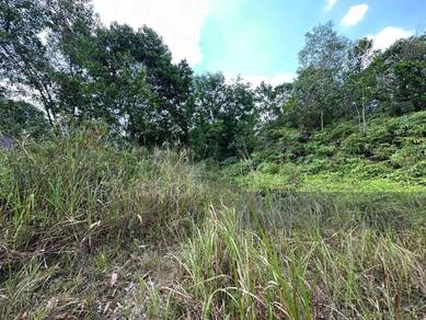 1.139 acres , Residential Land Bandar Sungai Long, Bandar Mahkota