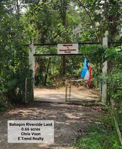 Babagon Riverside Land with Resort for SALE