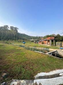 Below Market Durian Agriculture Land 6 Acres Serendah Rawang