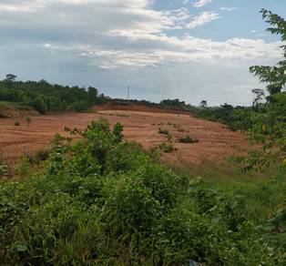 Agricultural-Land-for-sale-Sepang-Selangor