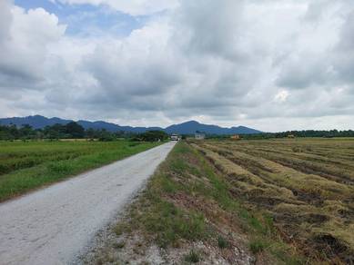 Agricultural-Land-for-sale-Balik-Pulau-Penang