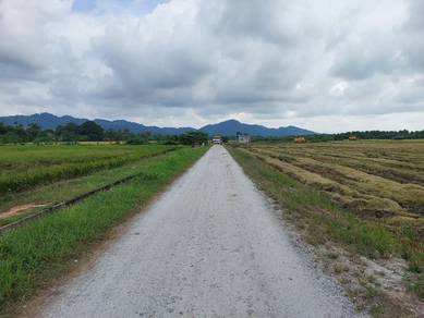 BALIK PULAU, Penang, Tanah Pertanian (Tanaman Padi), Akses baik