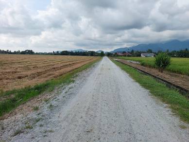 BALIK PULAU, Penang, Tanah Pertanian (Tanaman Padi), Akses baik