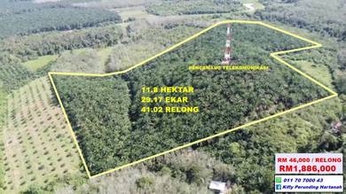 Agricultural-Land-for-sale-Sik-Kedah