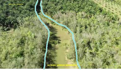 Tanah Kelapa sawit - Kg Berona - Jeniang