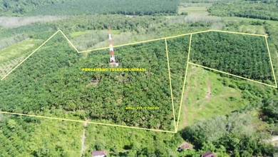 Tanah Kelapa sawit - Kg Berona - Jeniang