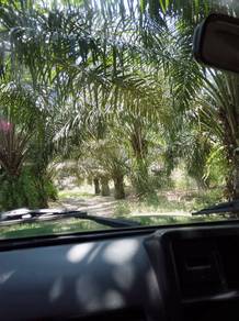 Agricultural-Land-for-sale-Chemor-Perak