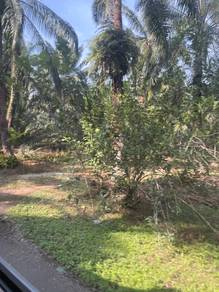 Agricultural-Land-for-sale-Telok-Panglima-Garang-Selangor