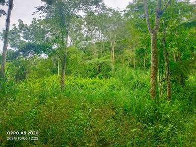 Agricultural-Land-for-sale-Bentong-Pahang