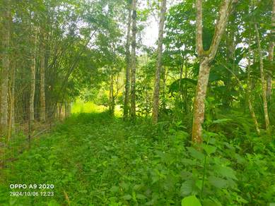 Tanah Janda Baik Bentong Chalet Invest Direct Owner