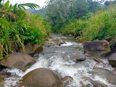 Tanah Janda Baik Bentong Chalet Invest Direct Owner