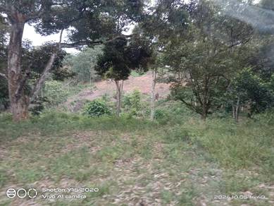Agricultural-Land-for-sale-Batang-Kali-Selangor
