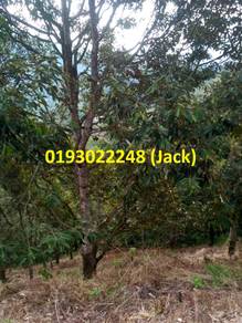 Agricultural-Land-for-sale-Jelebu-Negeri-Sembilan