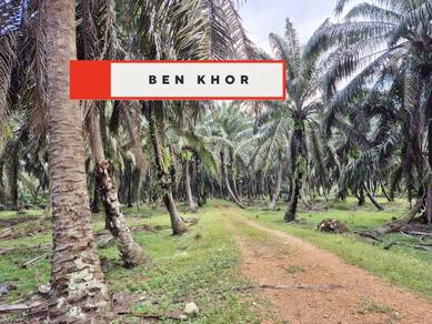 Agricultural-Land-for-sale-Selama-Perak