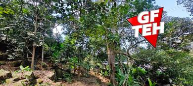 Agricultural-Land-for-sale-Balik-Pulau-Penang