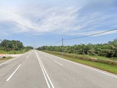 Freehold Prime Agriculture Land Next to Jalan Bagan Serai Parit Buntar