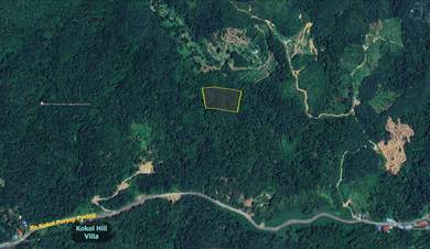 NT Land | 3.15 acres | Kg Bambangan | Kokol - Kiporing | Menggatal |