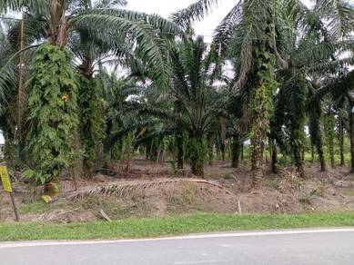 Tanah Rata Geran Pertanian Zoning Kediaman Bukit Changgang Banting
