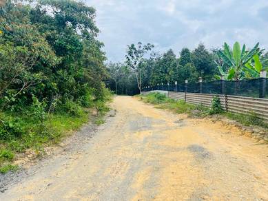 Machap Baru Durian Farm for sell