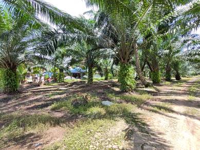 Agricultural-Land-for-sale-Telok-Panglima-Garang-Selangor
