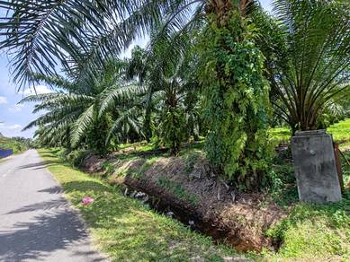 SKVE Agricultural 2 Acre Land For Sell(WTS Telok Panglima Garang LAND)