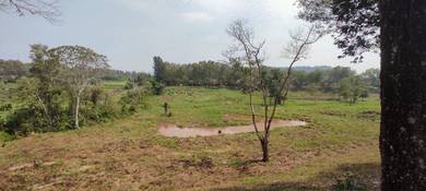 NEAR MYDIN s2 - agri land for RENT