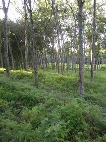 Agricultural-Land-for-sale-Kuala-Pilah-Negeri-Sembilan