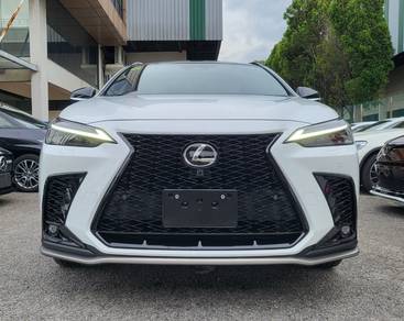 Nx250 Convert Nx350 F Sport Grill Diffuser Bodykit