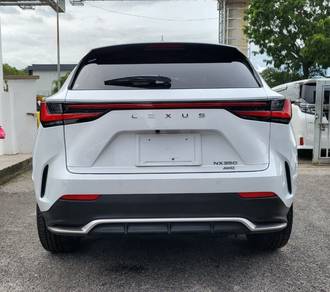 Nx250 Convert Nx350 F Sport Grill Diffuser Bodykit
