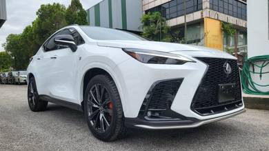 Nx250 Convert Nx350 F Sport Grill Diffuser Bodykit