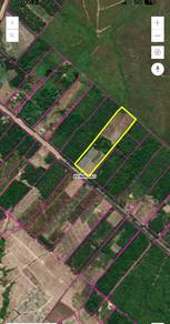 Keningau | plantation land | flat land | agriculture land | land