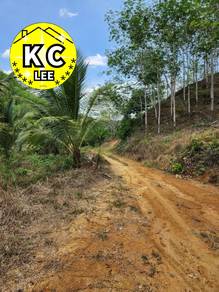 4.39 Acres Hilly Land | Suitable Growing Durian | Pengkalan Hulu,Perak