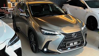 Lexus NX250 2.5 LUXURY (Ready Stock)