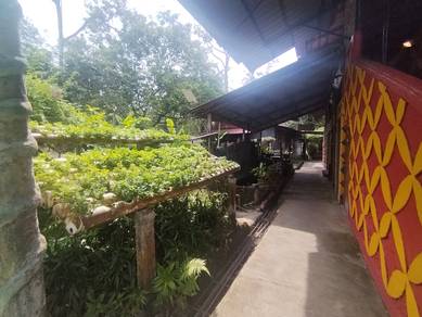 Commercial Land With Resort Business 3 acres