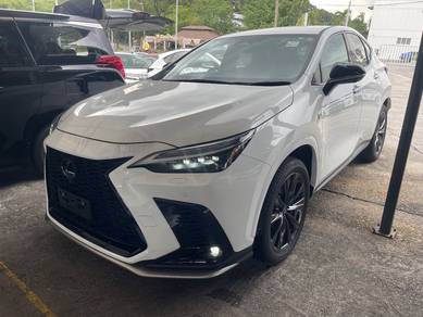 Lexus NX350 2.4 F SPORT BSM HUD Up Display PB