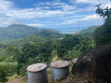 Agricultural Land At Teluk Bahang (90 Arces) (RM25psf)